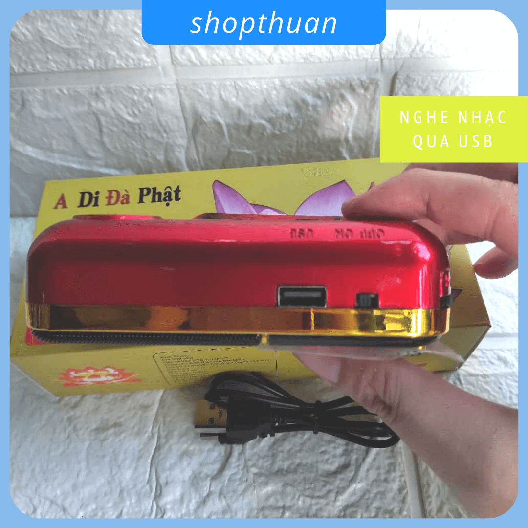 loa A di da phat A-100s (2)
