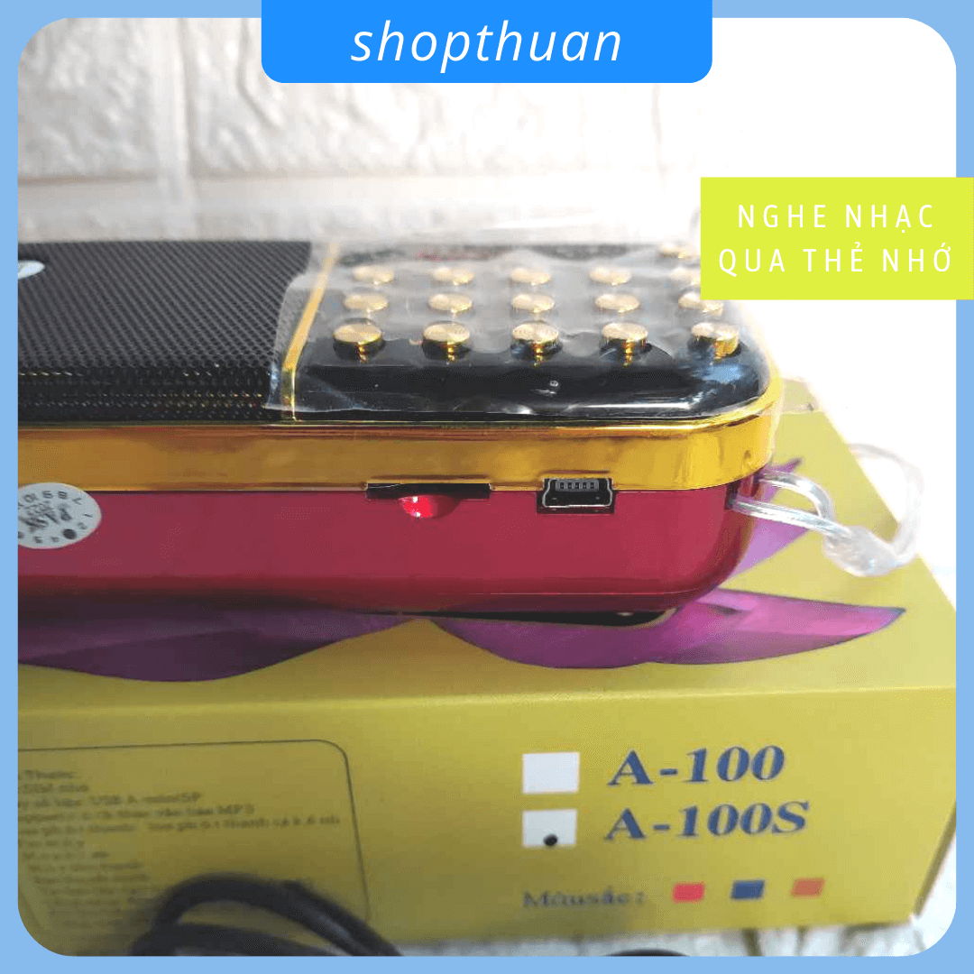 loa A di da phat A-100s (3)