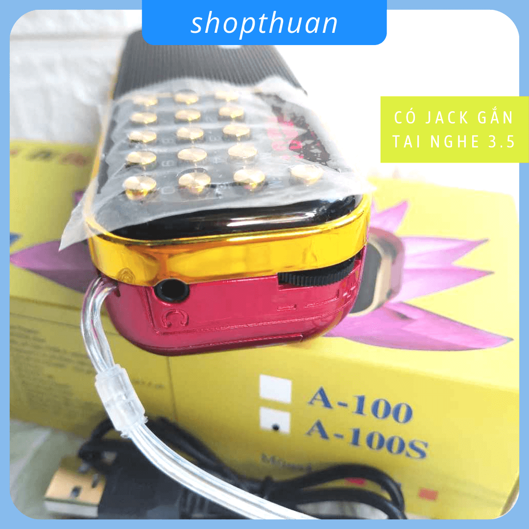 loa A di da phat A-100s (4)